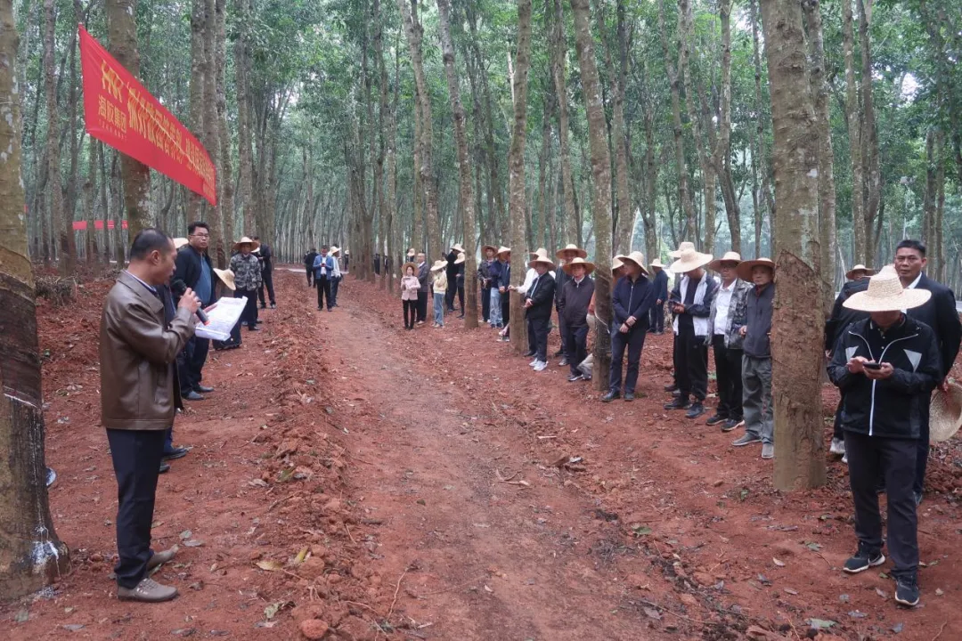 1734657859109053390.jpg 1734657859109053390.jpg