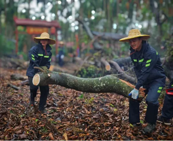 1741880247054087127.jpg 1741880247054087127.jpg