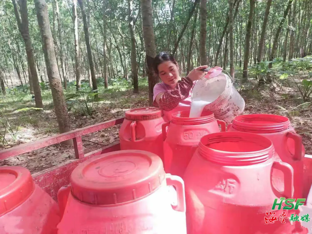 1755044676816053198.jpg 1755044676816053198.jpg