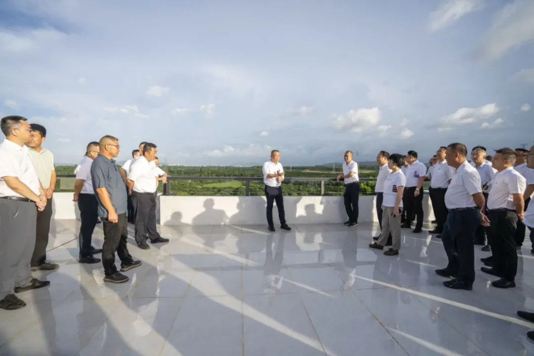 1759249546710034033.jpg 1759249546710034033.jpg