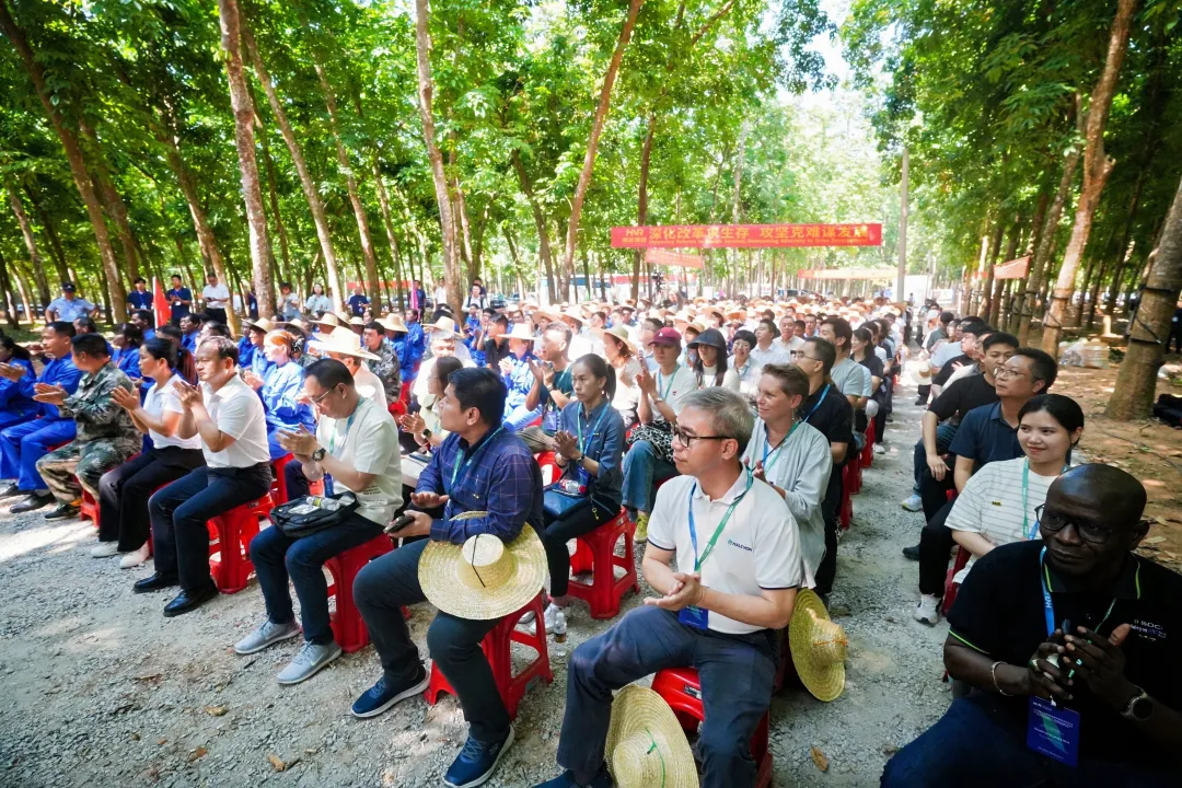 1767235116660096645.jpg 1767235116660096645.jpg