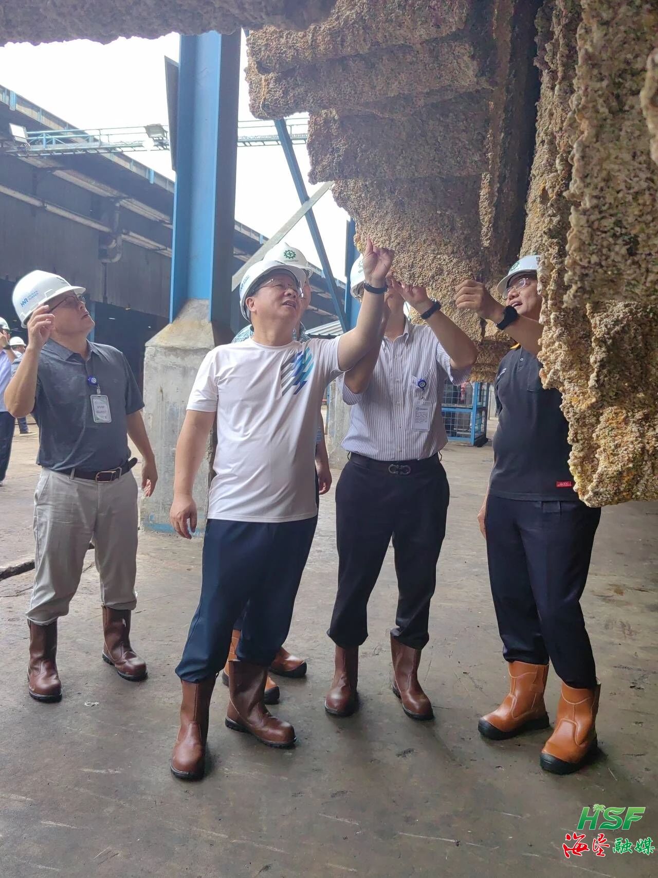 包洪文一行調研合盛農業(yè)SGO加工廠。